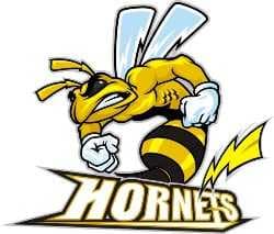 Hornets