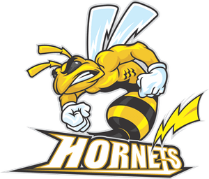 Hornets