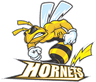 Hornets